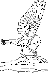 Bluebird coloring page