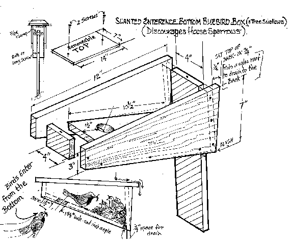 Paul Carrier Slant Box