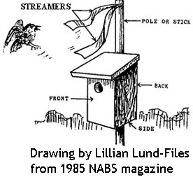 Sparrow Deterrent by Lillian Lund-Files