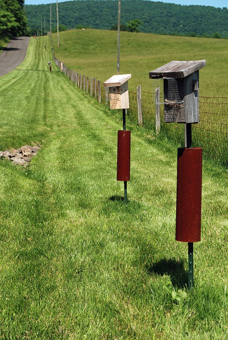 By vastateparksstaff - https://www.flickr.com/photos/vastateparksstaff/14376088454/, CC BY 2.0, https://commons.wikimedia.org/w/index.php?curid=57548056