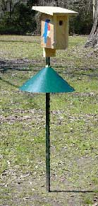 finished product. Kenny Kleinpeter photo