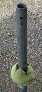 cone guard set up with tennis ball courtesy LBBS