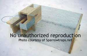 Deluxe Repeating Sparrow Trap