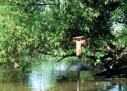 PROW nestbox. Photo by Don Wills
