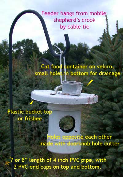 Simple mealworm feeder. Photo by Bet Zimmerman