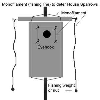 Monofilament to deter HOSP. Drawing by E Zimmerman