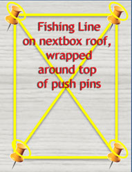 Fishing line on roof to deter House Sparrows