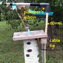 Sparrow spooker. Photo by C.Layton