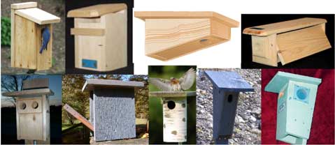 nestbox styles