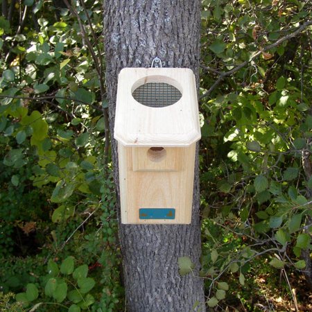 open top nestbox photo sold by Coveside