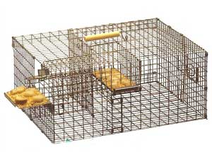 PMCA repeating bait trap