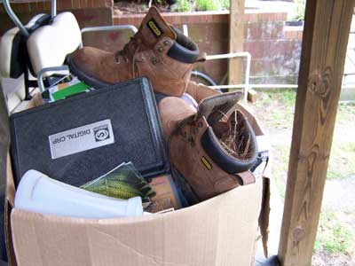 Shoe Bird. PHoto by Bet Zimmerman.
