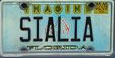 Florida bluebird plate