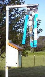 Sparrow spooker. C.Layton