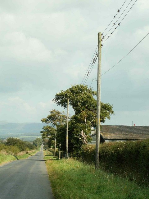 by Rose and Trev Clough, Wikimedia