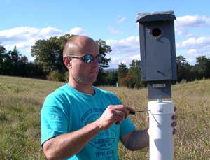 My husband puts a wobbling baffle on a nestbox. Photo by EA Zimmerman